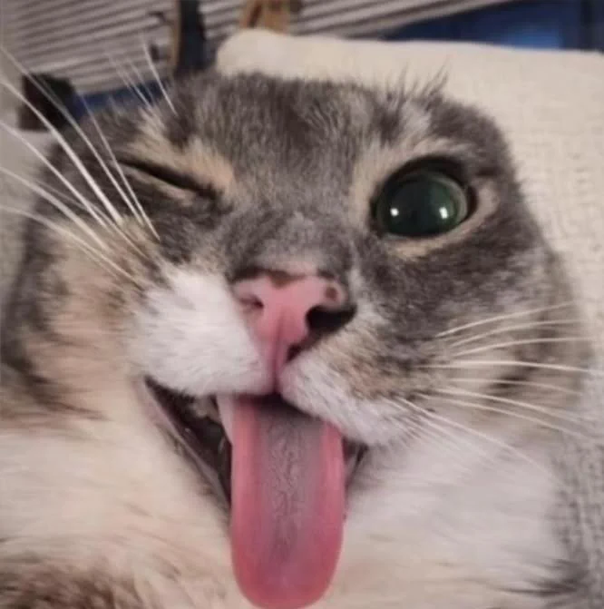 Đức Cường